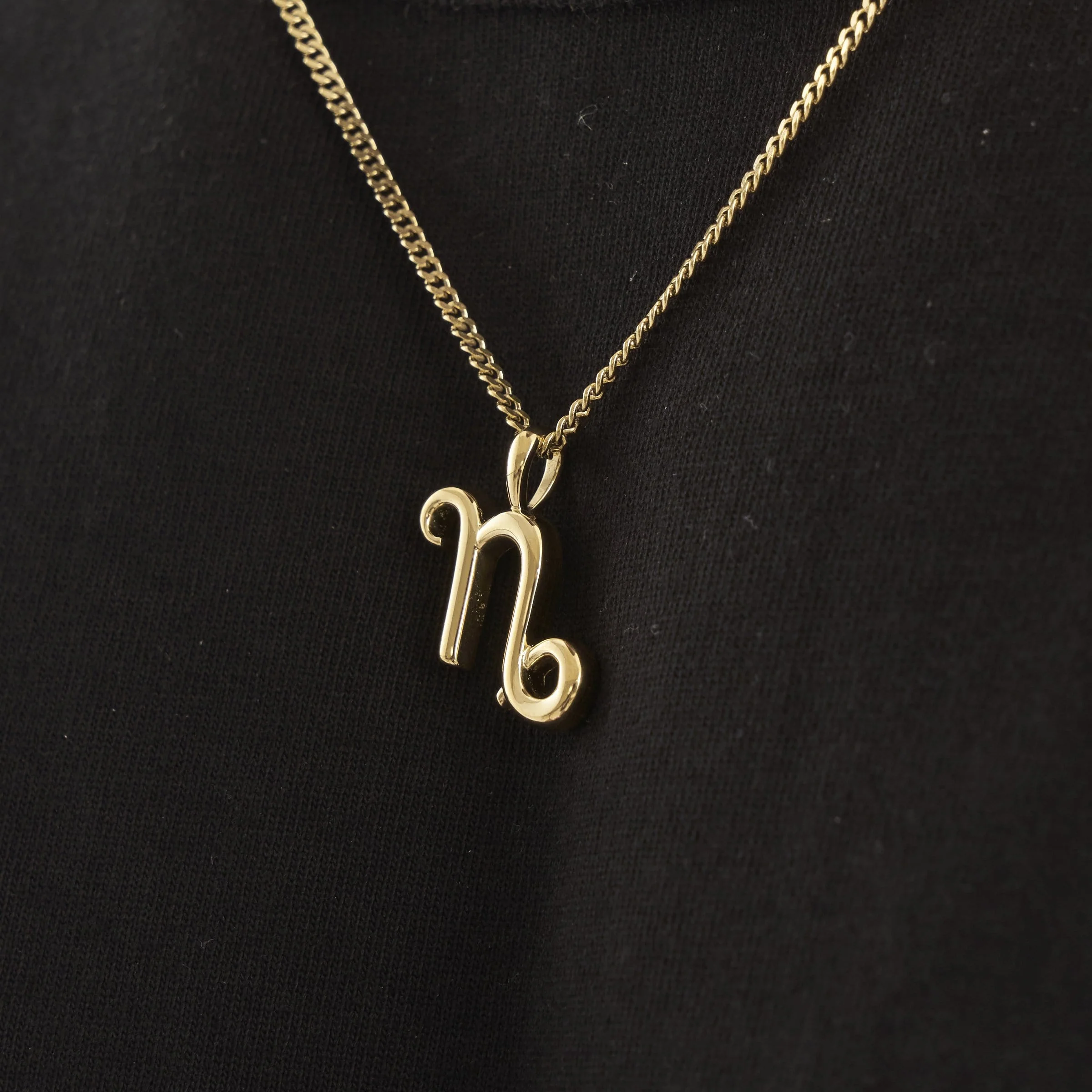 Capricorn (Gold) - Image 4